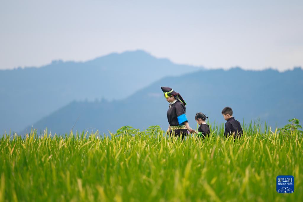 (最新)手机在线赌博游戏